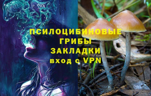 марки nbome Гвардейск