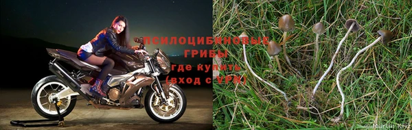 молекула духа Остров